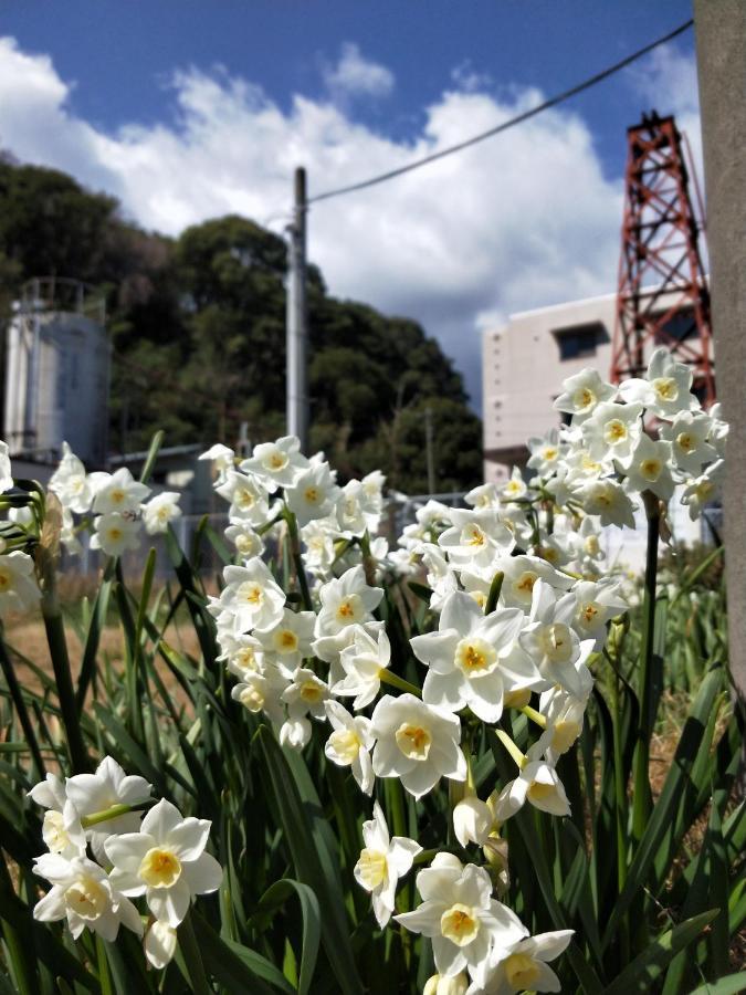 Izu Shirada Villa 伊豆白田家 Higashiizu Luaran gambar