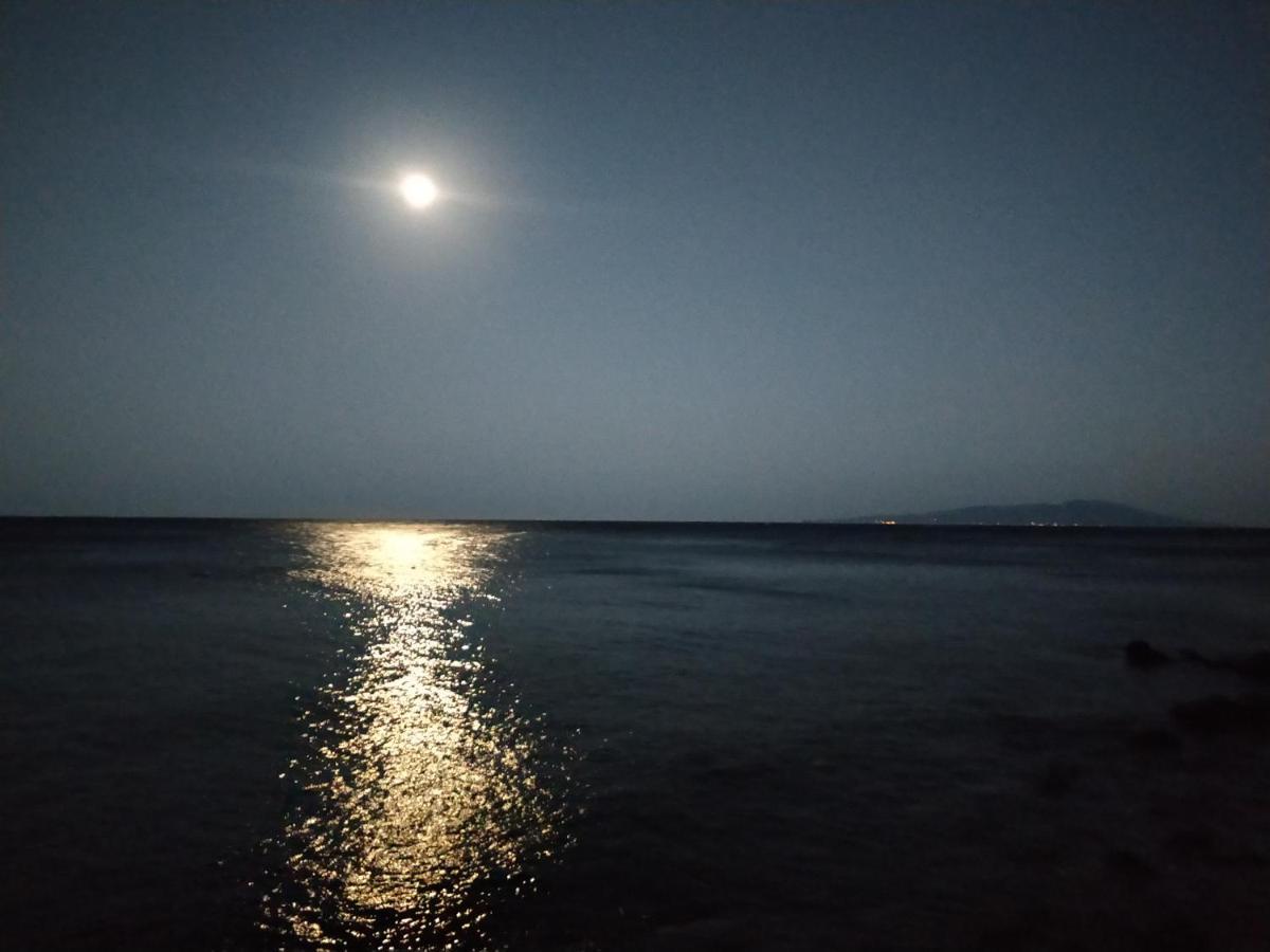Izu Shirada Villa 伊豆白田家 Higashiizu Luaran gambar